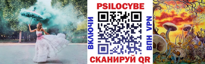 Купить закладки  Апрелевка  Псилоцибиновые грибы мухоморы 